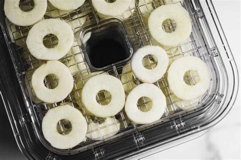The 2 Best Food Dehydrators of 2024, Tested & Reviewed.
